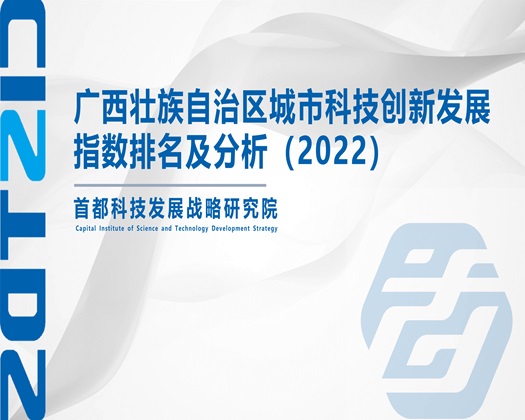 插操吧网【成果发布】广西壮族自治区城市科技创新发展指数排名及分析（2022）